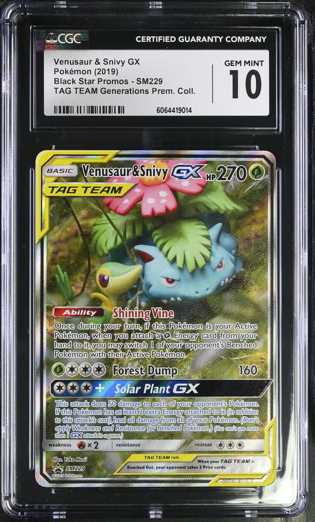 Venusaur & Snivy GX