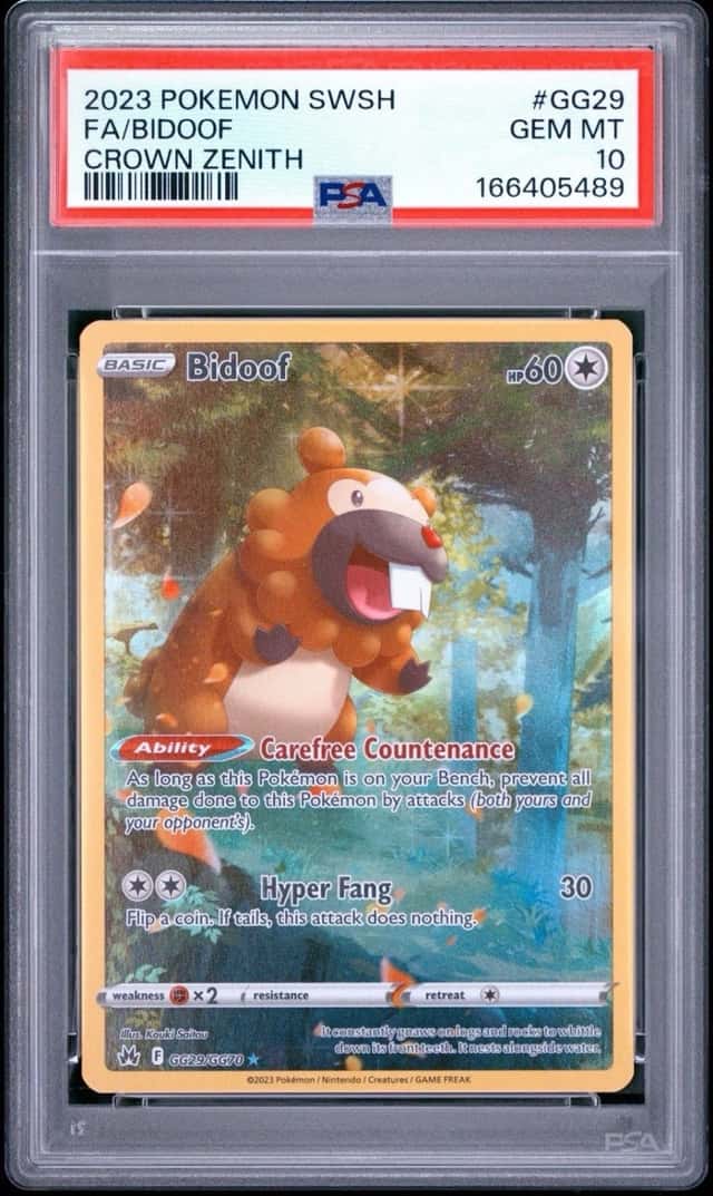 Bidoof
