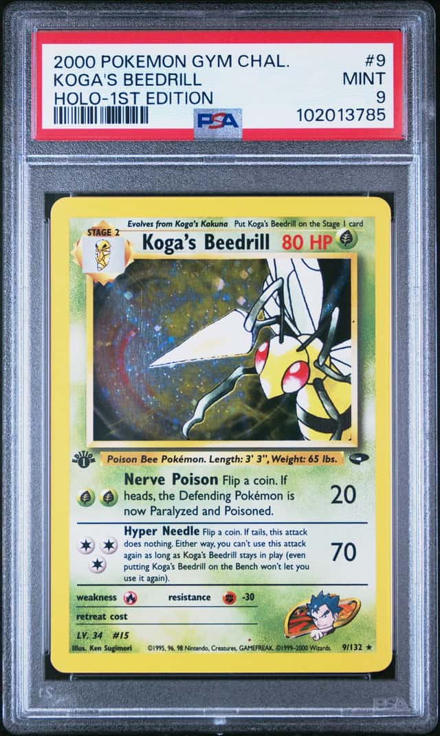 Koga's Beedrill