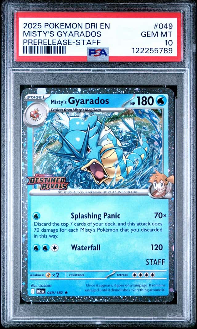 Misty's Gyarados