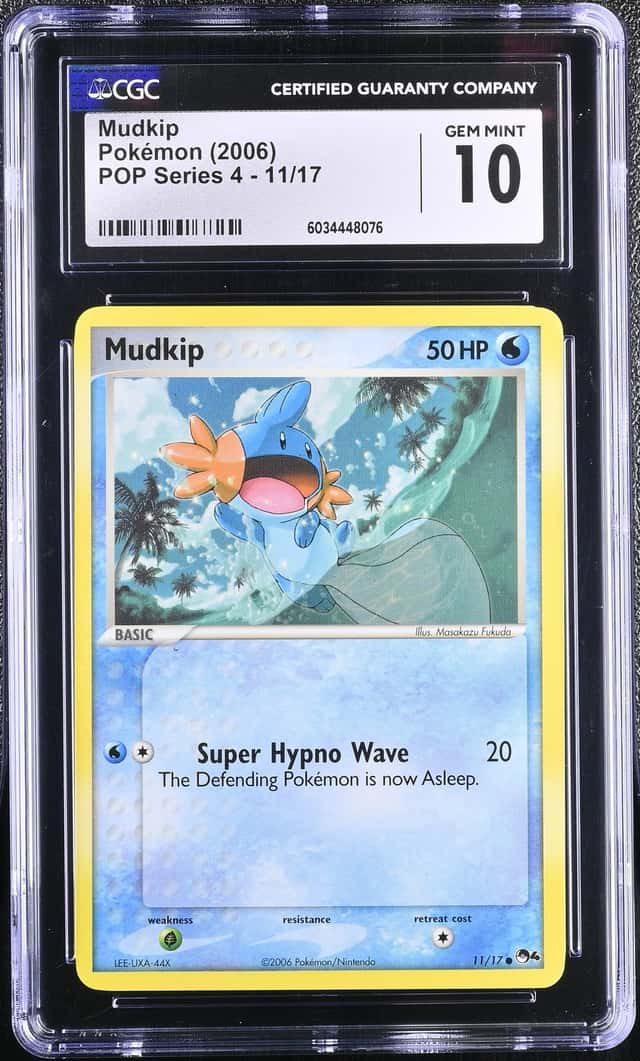 Mudkip