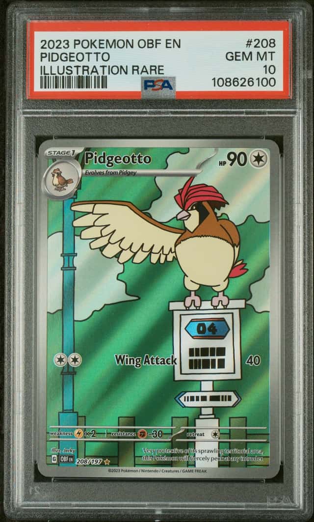 Pidgeotto
