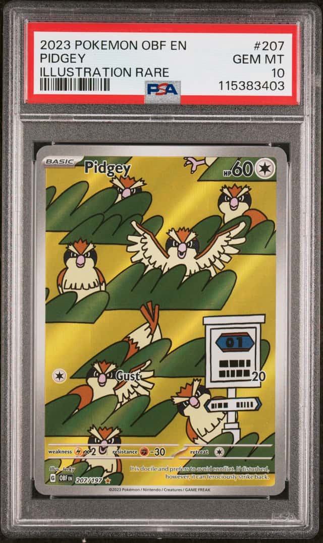 Pidgey