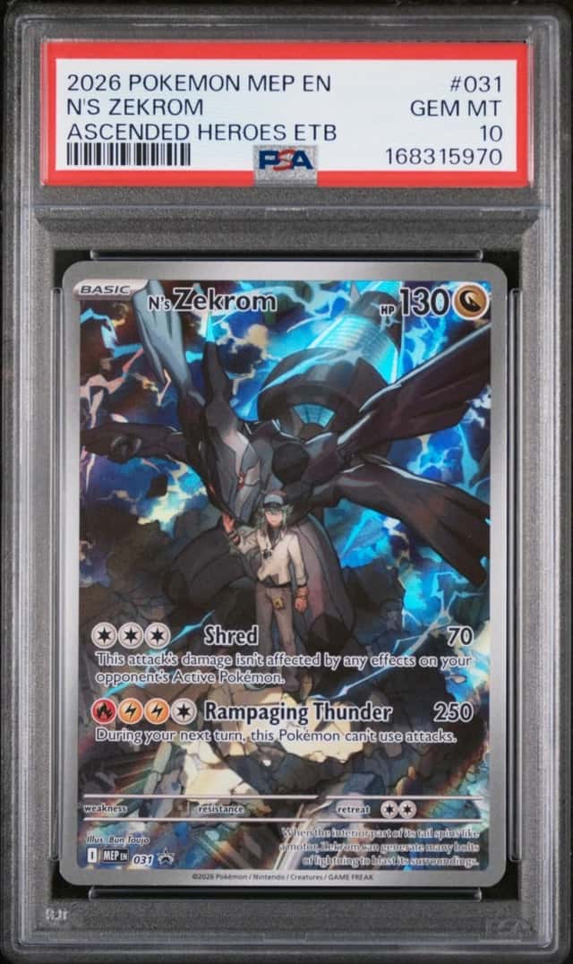 N's Zekrom