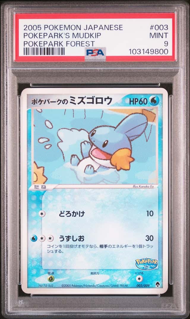 Pokepark's Mudkip