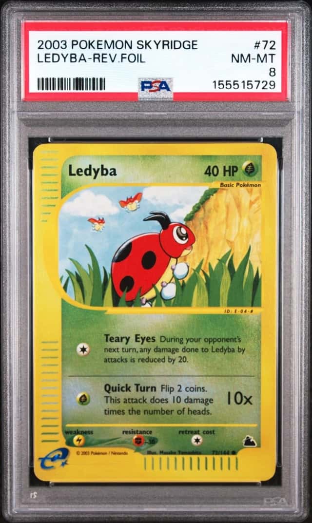 Ledyba