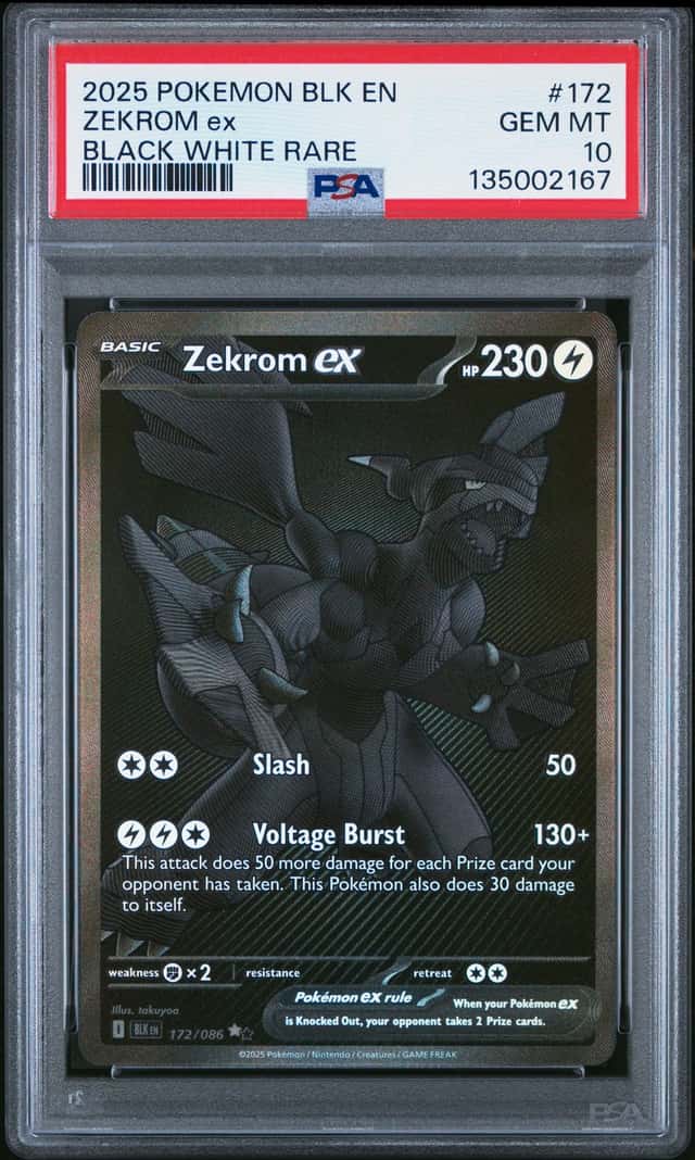 ZEKROM ex