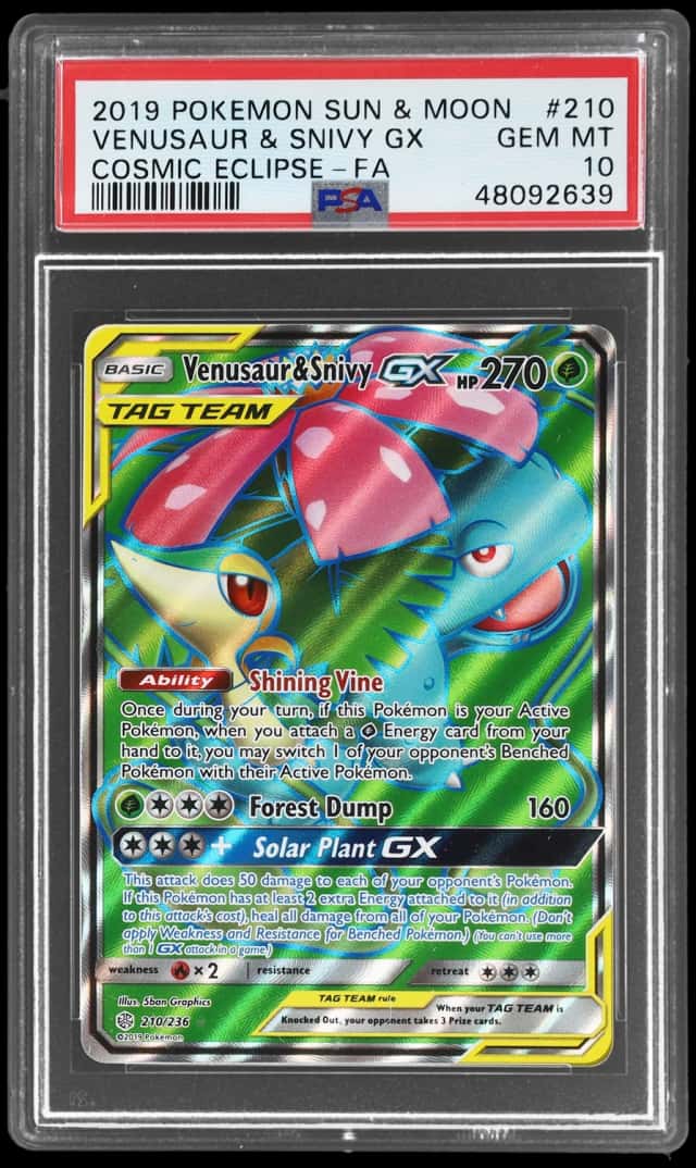 Venusaur & Snivy GX