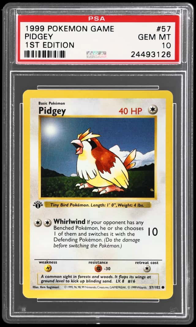 Pidgey