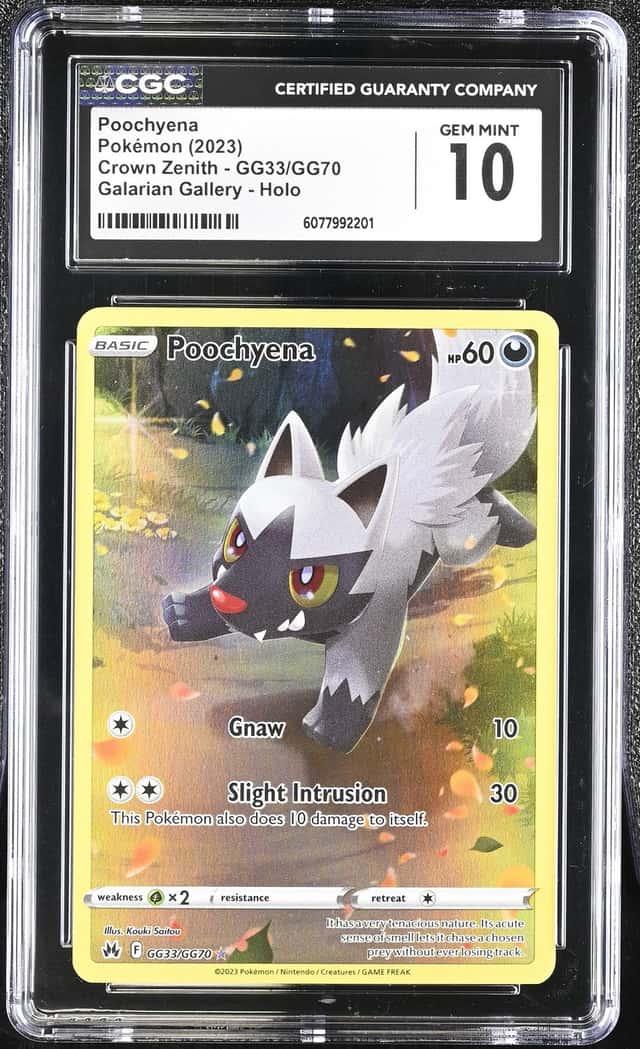 Poochyena