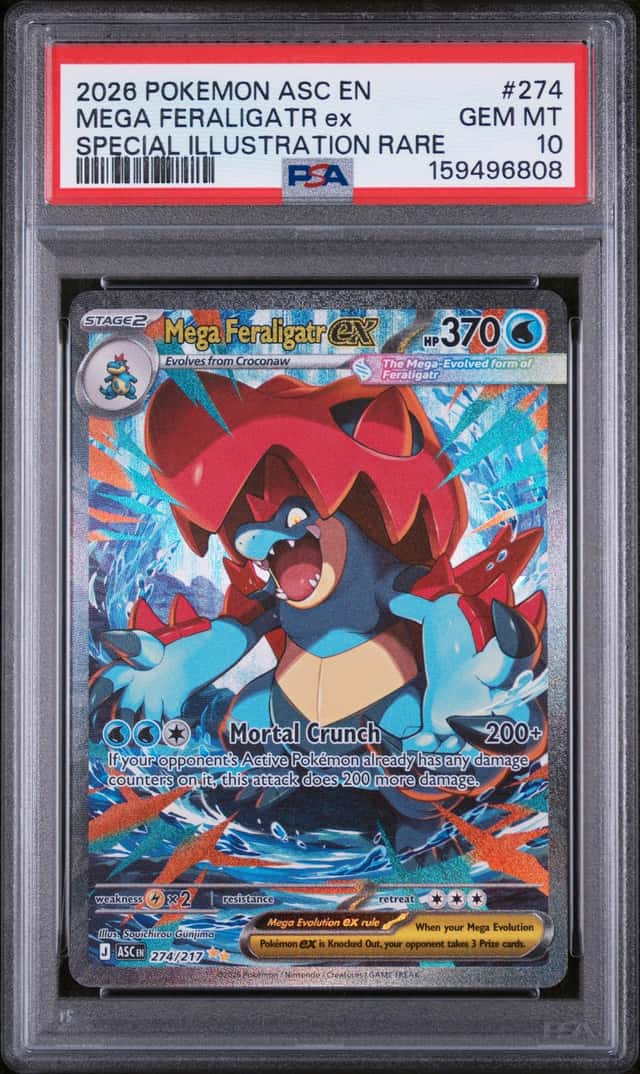 MEGA FERALIGATR ex