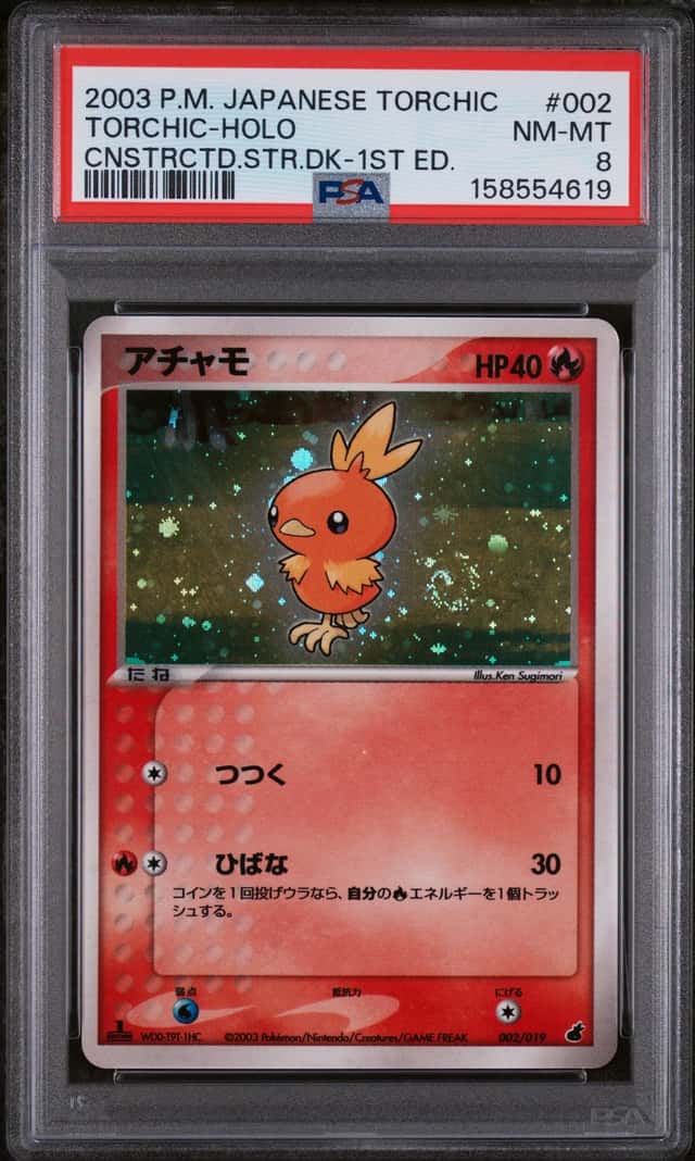 Torchic
