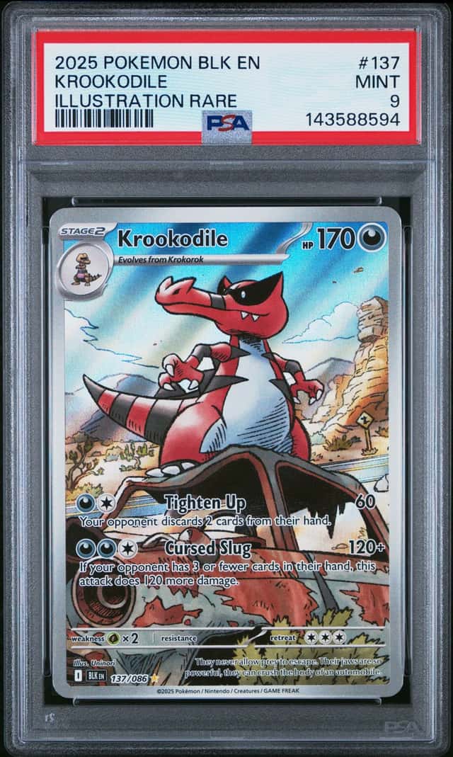 Krookodile