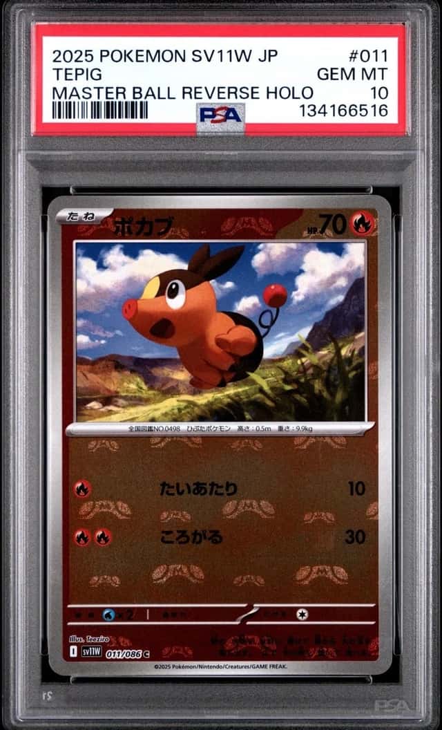 Tepig