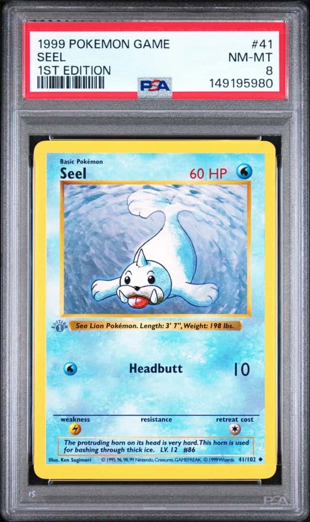 Seel