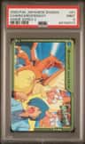 Charizard/pidgeot