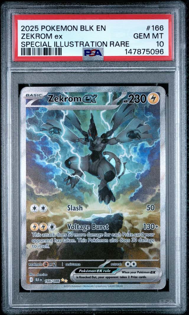 ZEKROM ex
