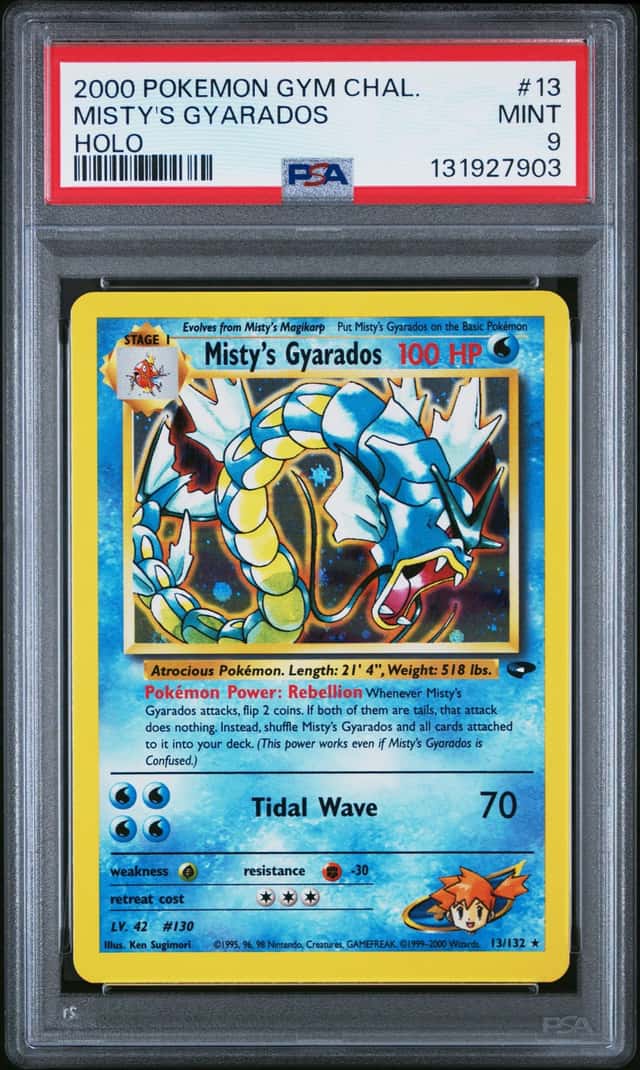 Misty's Gyarados