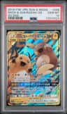 Raichu & Alolan Raichu Gx