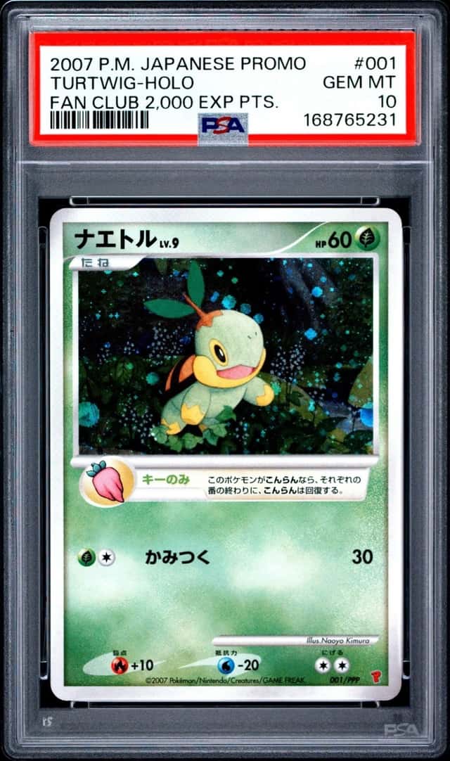 Turtwig