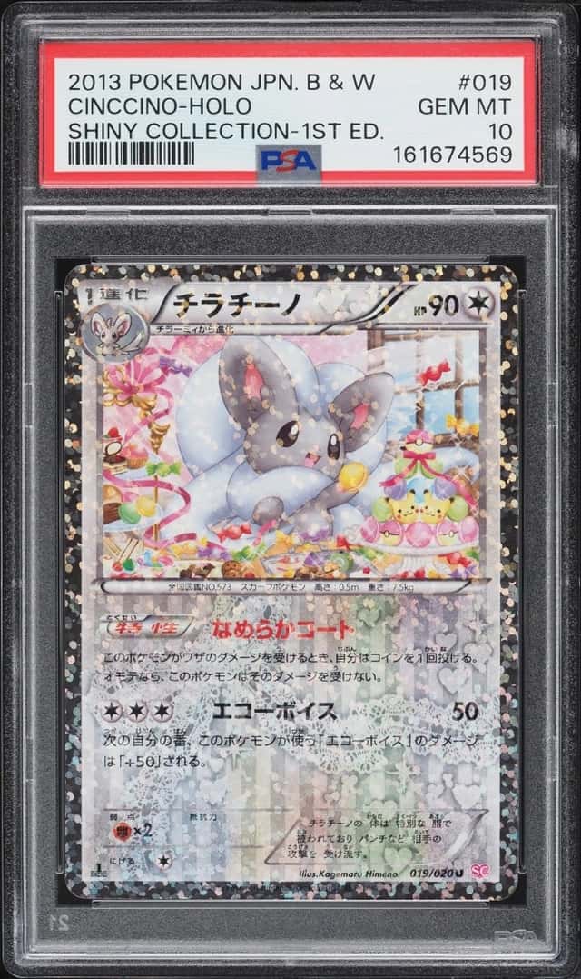 Cinccino