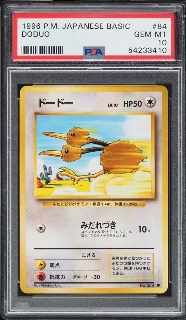 Doduo