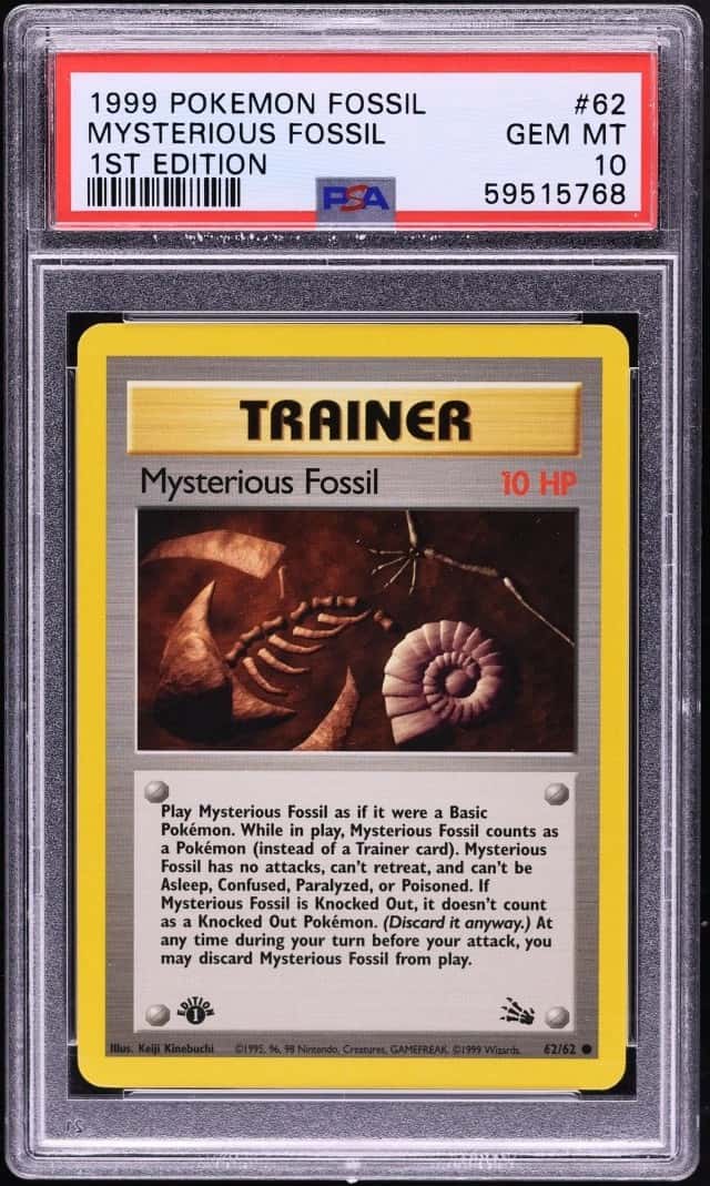 Mysterious Fossil