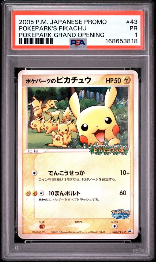 PokePark's Pikachu