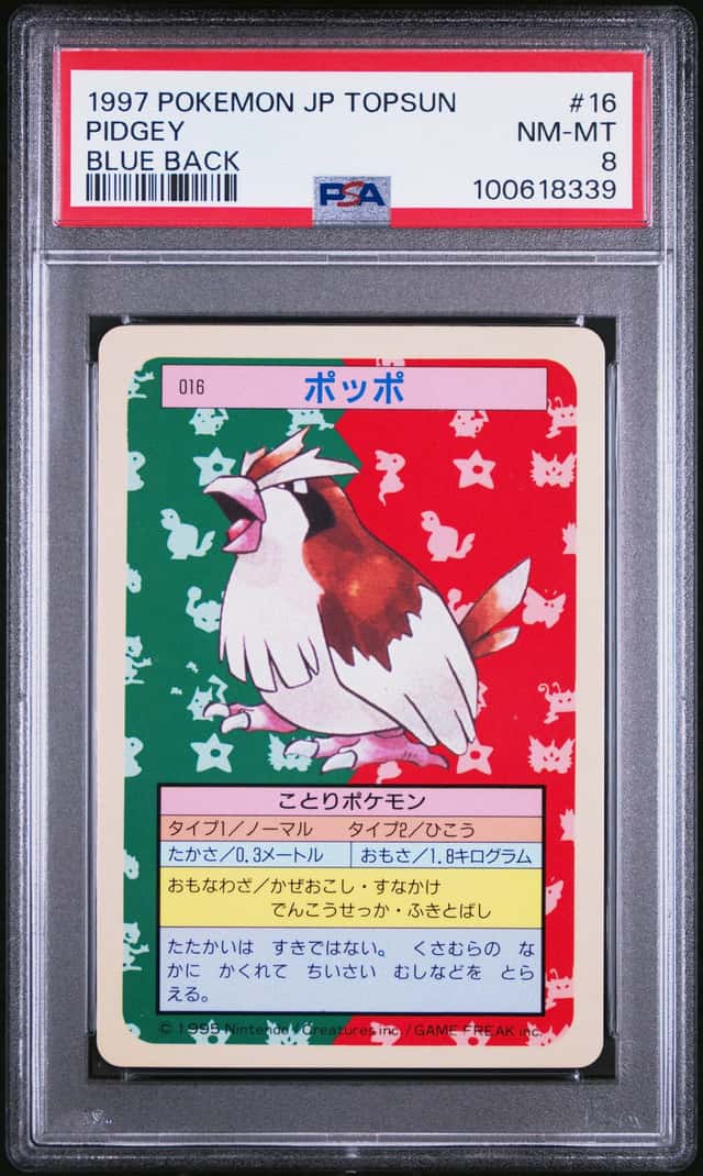 Pidgey