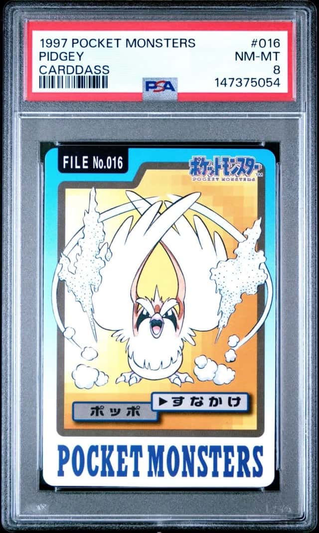 Pidgey