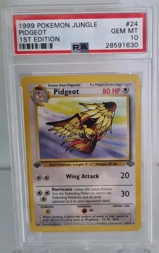 Pidgeot