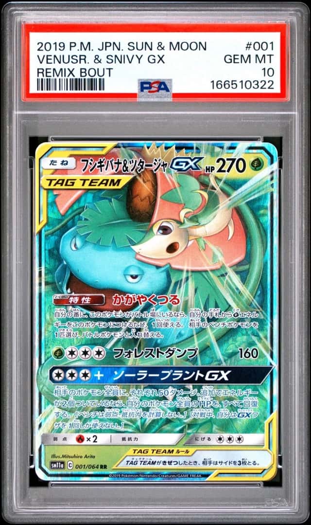 Venusaur & Snivy GX