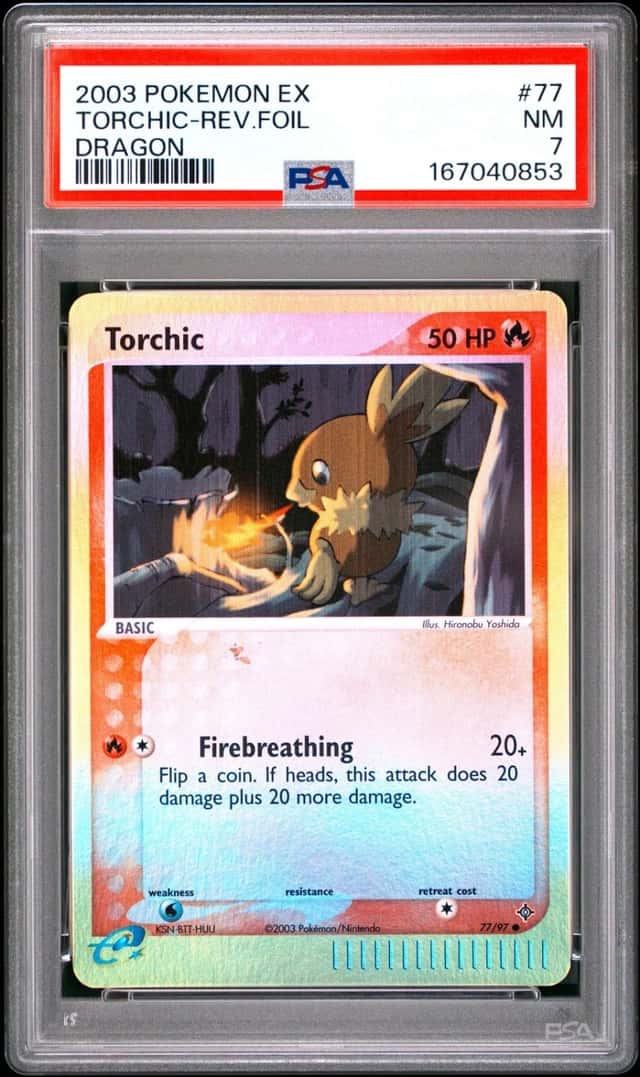 Torchic