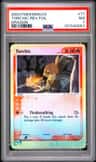 Torchic