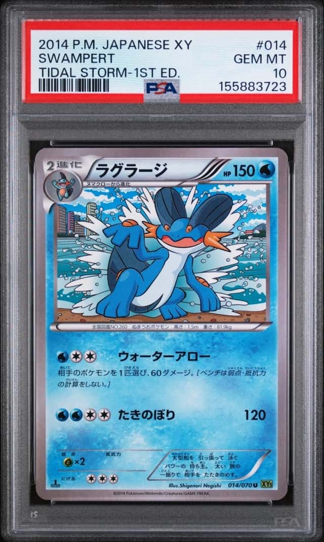 Swampert