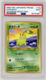 Chikorita