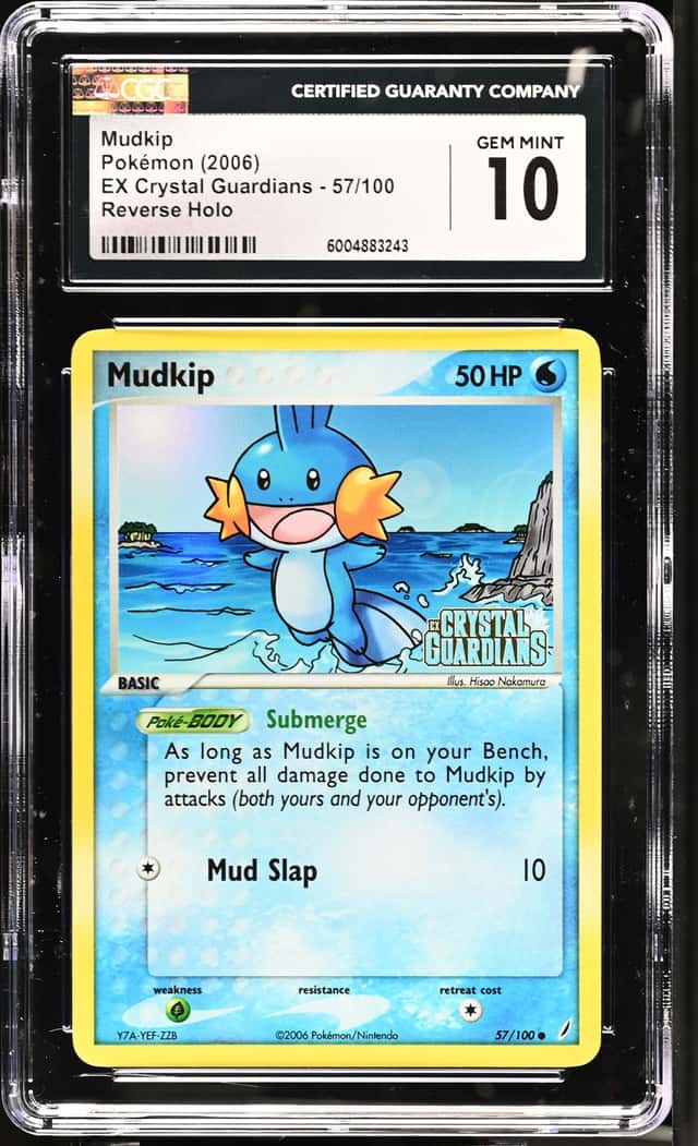 Mudkip