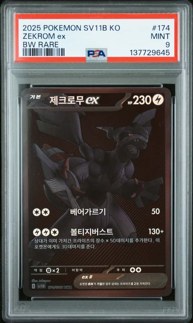 ZEKROM ex