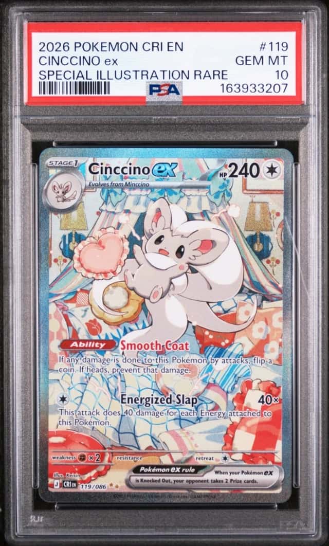 CINCCINO ex