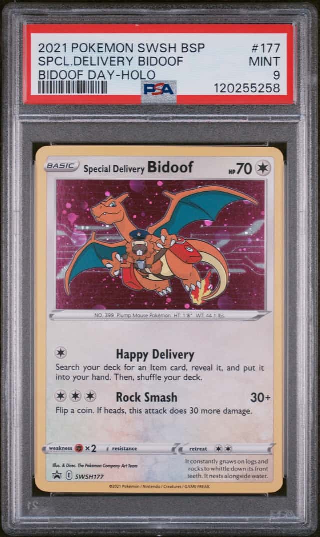 Special Delivery Bidoof