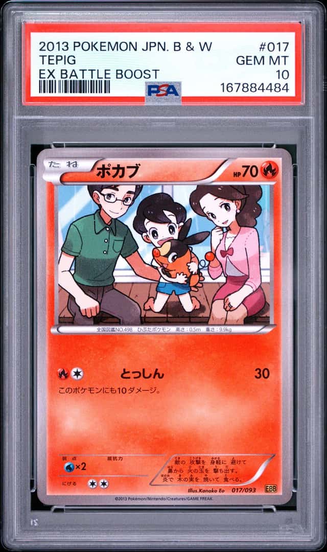 Tepig