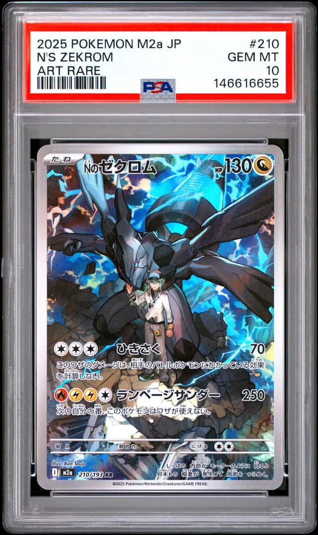 N's Zekrom