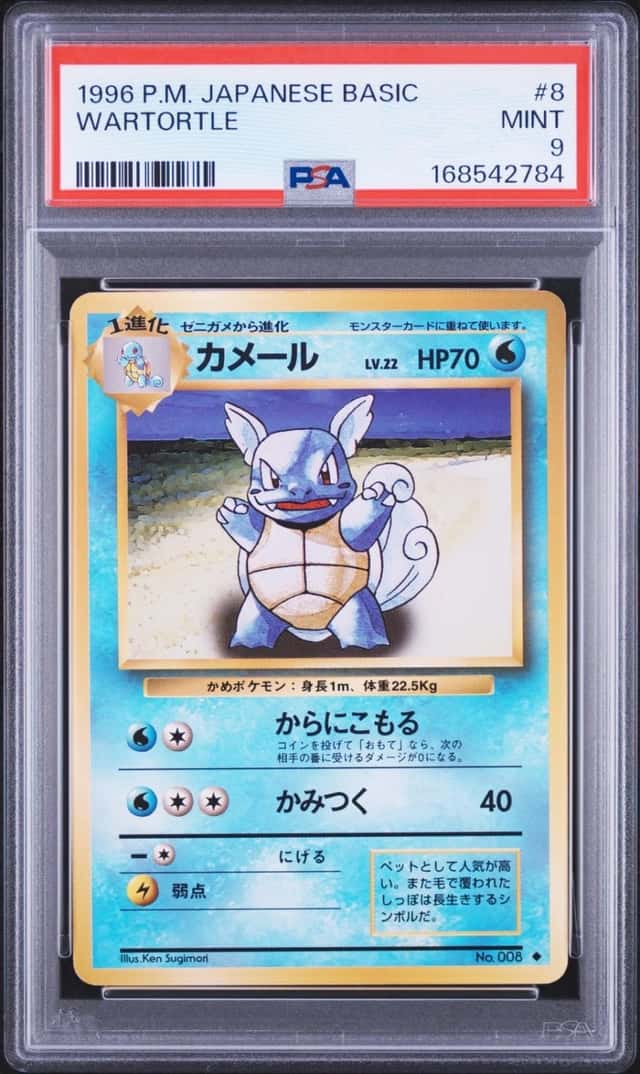 Wartortle