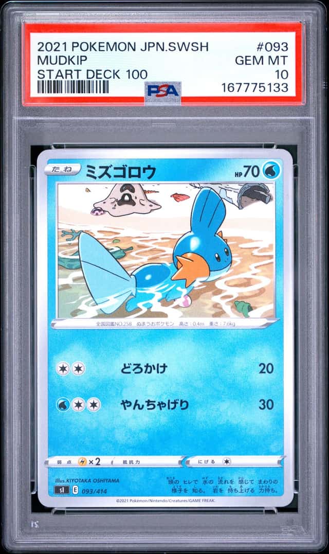 Mudkip