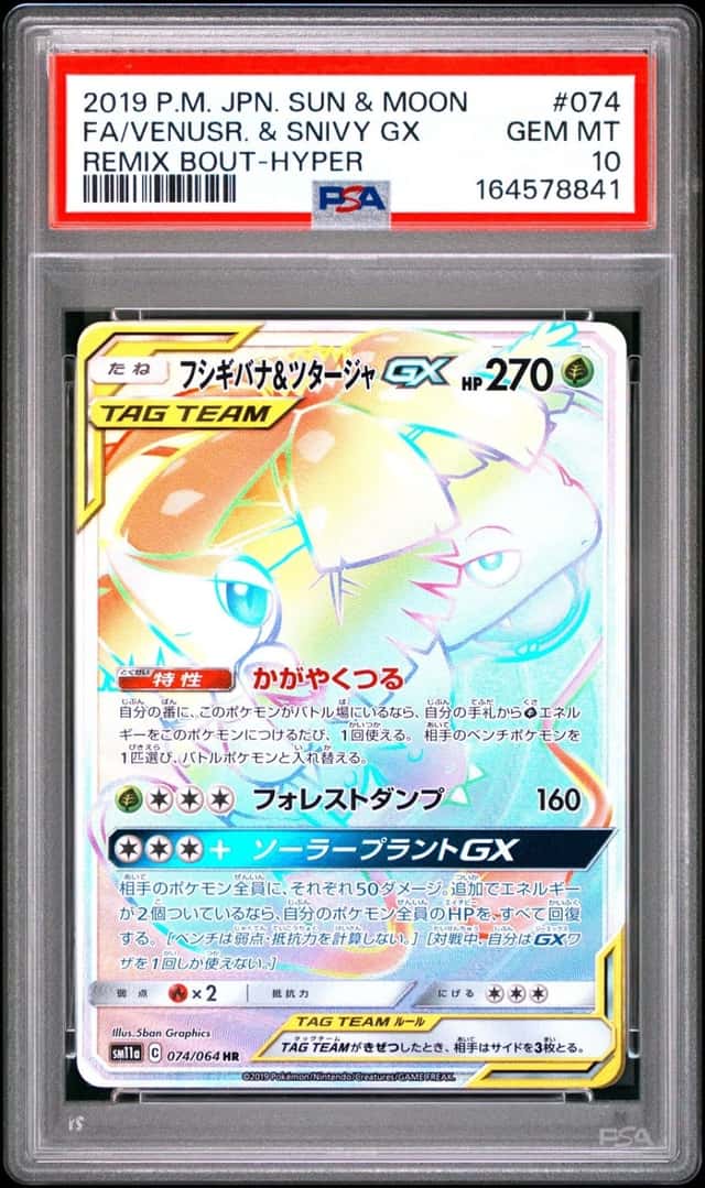 Venusaur & Snivy GX