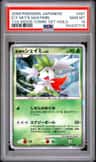 Icy Sky'S Shaymin