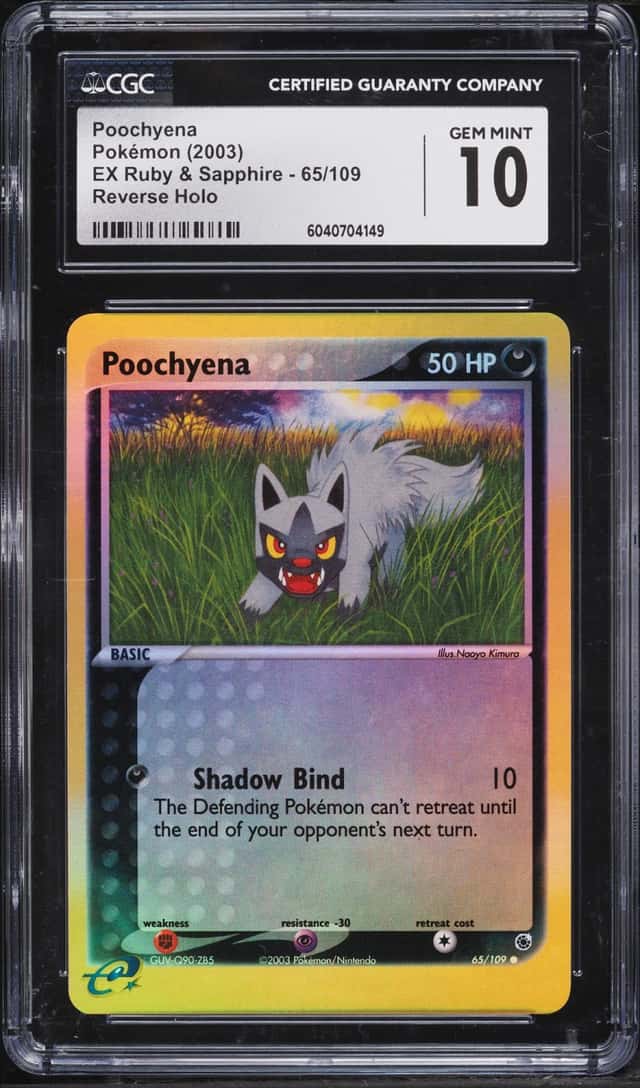 Poochyena