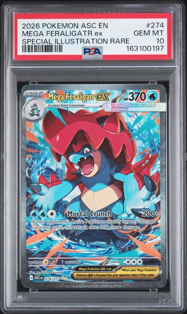 MEGA FERALIGATR ex
