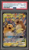 Raichu & Alolan Raichu Gx