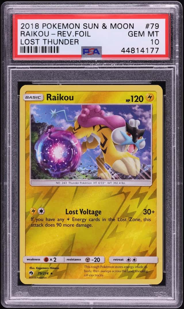 Raikou
